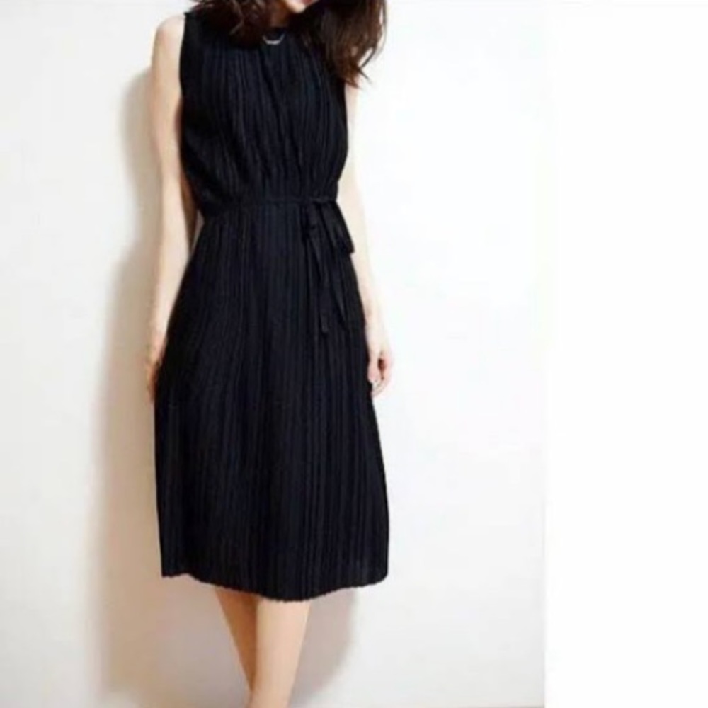 NWT ✨ Sleeveless pleated dress